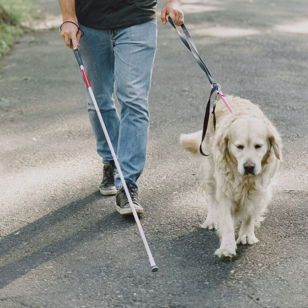 Aluminiumlegering blinde wande - Trekking Poles recensie en prijs