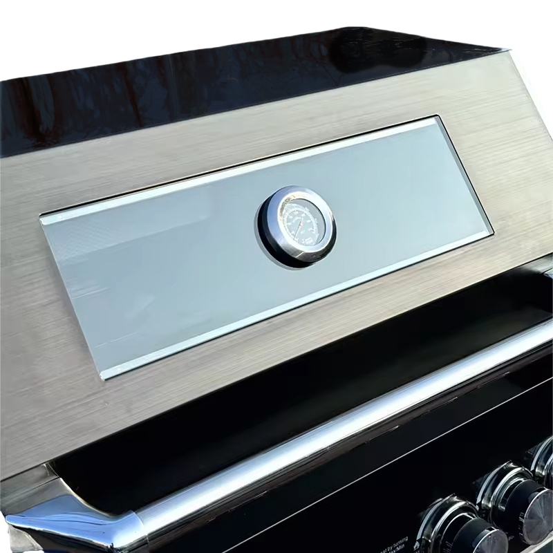 Buiten gas barbecue van zwart  - Outdoor Gas Camping Oven recensie en prijs